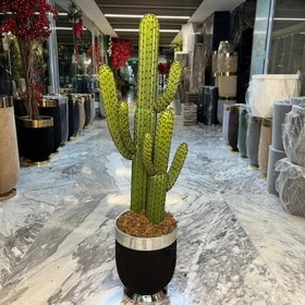 تصویر کاکتوس مصنوعی 