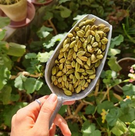 تصویر هل سبز - پودر 