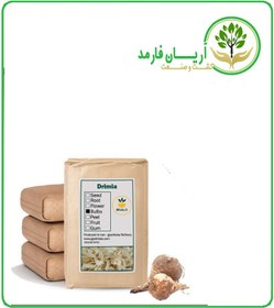 تصویر پیاز عنصل خشک فله 