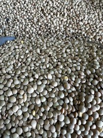 تصویر عدس آشی کانادایی Lentil soup