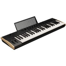 تصویر میدی کنترلر Korg Keystage 49 