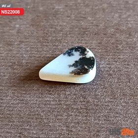 تصویر نگین شجر (اشکی) 