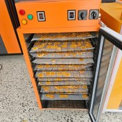 تصویر میوه خشک کن دوگانه ۲۴ سینی 