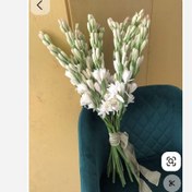 تصویر پیاز گل مریم (معطر) 