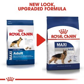 تصویر غذای خشک سگ رویال کنین مکسی ادالت Royal Canin Maxi Adult