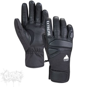 تصویر دستکش اسکی EX2 چرمی 