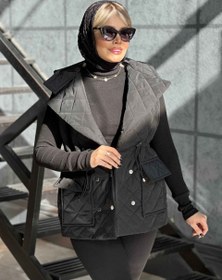 تصویر پافر امبردی 