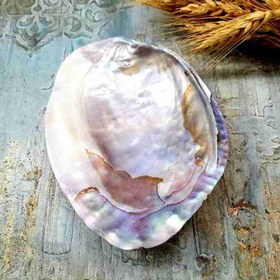 تصویر حوضچه صدف طبیعی مدل ۲ 