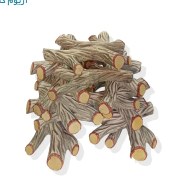 تصویر هیزم شومینه طرح رابین 