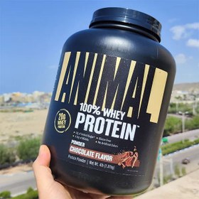 تصویر پروتئین انیمال وی یونیورسال Universal Nutrition Animal Whey