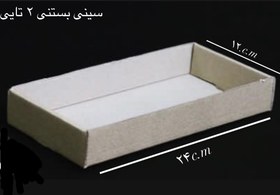 تصویر سینی بستنی 2 تایی 