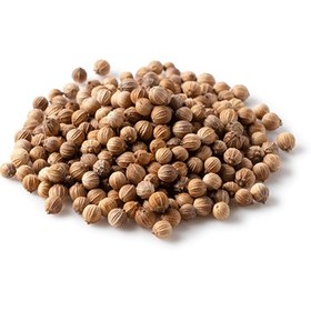 تصویر تخم گشنیز 