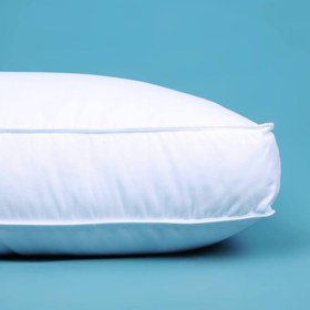 تصویر بالش سیلور 