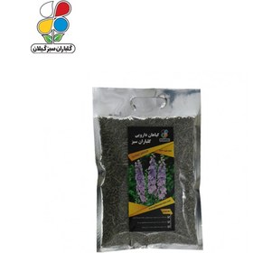 تصویر گیاه دارویی اسطوخودوس(Lavandula stoechas) مدل GPH6 