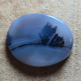 تصویر شجر قائنات 