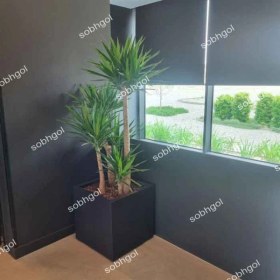 تصویر گلدان لوکس یوکا Y11 