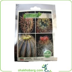 تصویر بذر کاکتوس گونه ای فرو کاکتوس میکس 
