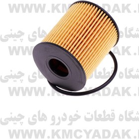 تصویر فيلتر روغن خودروی – T8 MT کد فنی 1010208GD190/KHK مناسب برای خودروی - کی ام سی تی 8 