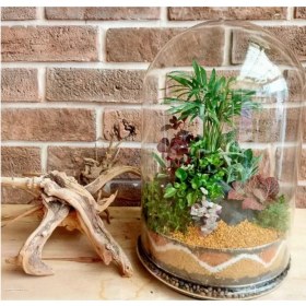 تصویر گلدان چند وجهی تراریوم (55) 