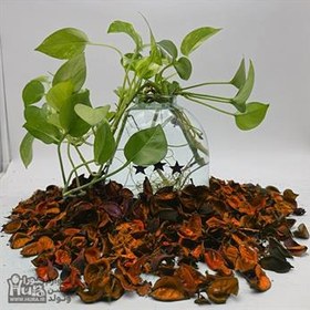 تصویر گل خشک رنگی نارنجی 1 کیلویی 