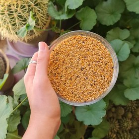 تصویر گرد گل ارگانیک 