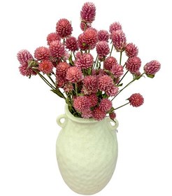 تصویر گل خشک دکمه ای 