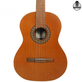 تصویر گیتار پارسی مدل D6 