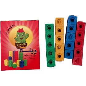 تصویر چینه کاکتوس 