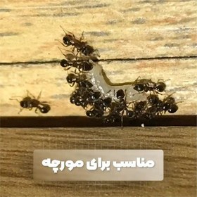 تصویر ژل سوسک کش فیبروکیل (35 گرمی) (fibrokill) 