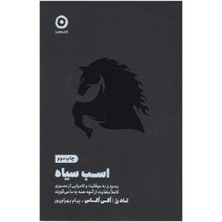 تصویر اسب سیاه The black horse