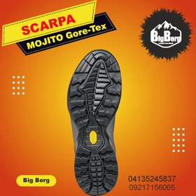 تصویر کفش اسکارپا مدل Scarpa Mojito Gore-Texx 