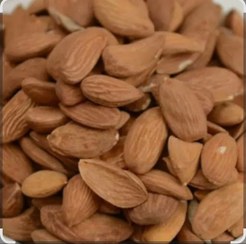 تصویر مغز بادام ایرانی 
