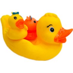 تصویر جوجه اردک حمام 