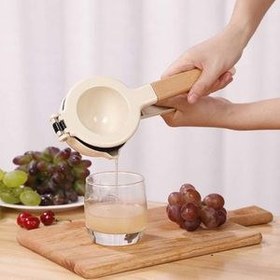 تصویر آبمیوه گیری دستی مدل VANQ3046 