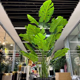 تصویر درختچه مصنوعی برگ انجیری 