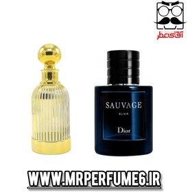 تصویر عطر ساواج الکسیر؛ رایحه‌ای قوی و ماندگار برای آقایون خاص - ۳۰میل Sauvage Elixir