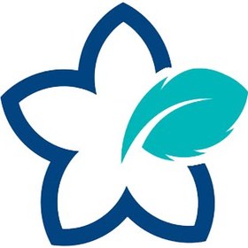 تصویر بالش سیلور 