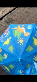 تصویر چتر‌پسرانه 