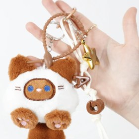 تصویر چارم بگ پیشی 