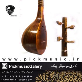 تصویر سه تار نادی ( دو مهر ) 