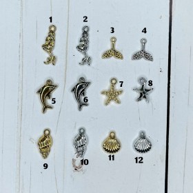 تصویر صدف ستاره دم وال 