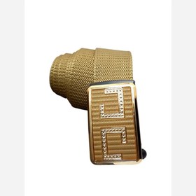 تصویر کمربند برزنتی 