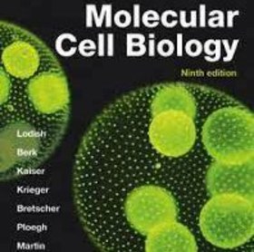 تصویر Molecular Cell Biology 9Th Edition 