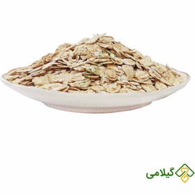 تصویر جو دوسر پرک گیلامی 