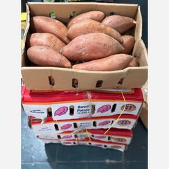 تصویر سیب زمینی شیرین وارداتی 
