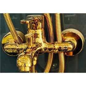 تصویر دوش نیکا طلایی 