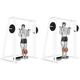 تصویر دستگاه اسمیت LS-190 