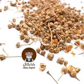 تصویر اسپند نخودی 