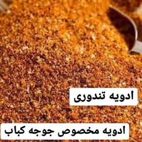 تصویر ادویه جوجه کباب (تندوری ) 100 گرمی 