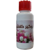 تصویر پودر بوگیر کفش (کد128) 